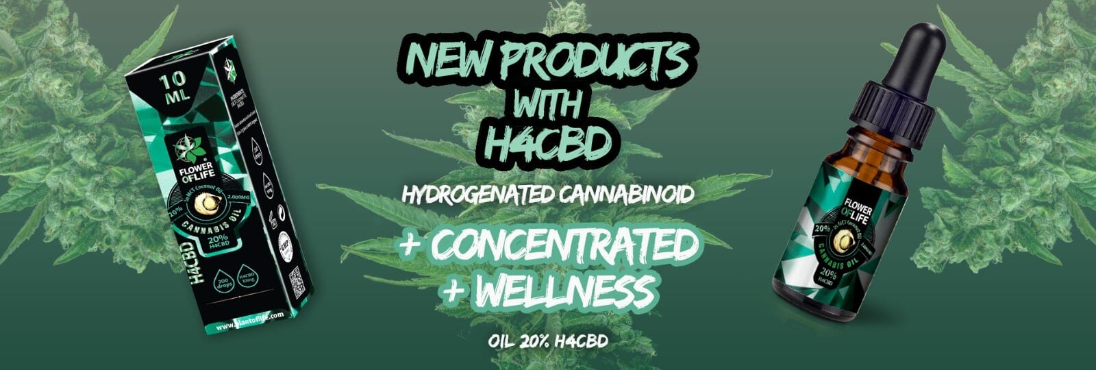 NEW COCONUT OIL WITH 20% H4CBD